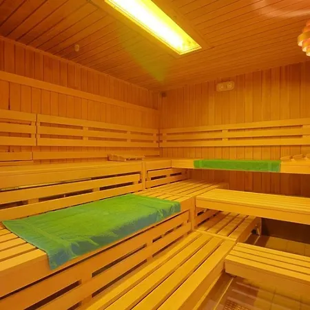 Apartmán Walpurgis Mit Toller Aussicht & Schwimmbad Hohegeiß